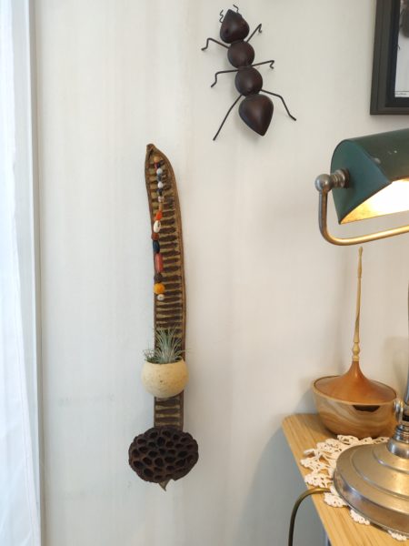Objet déco cosse de flamboyant – Image 2