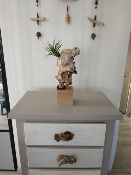 Décoration cube, graines, tillandsia n°6 – Image 2
