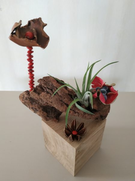 Décoration cube, graines, tillandsia n°5 – Image 3