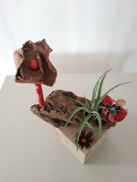 Décoration cube, graines, tillandsia n°5 – Image 2