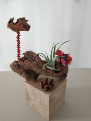 Décoration cube, graines, tillandsia n°5