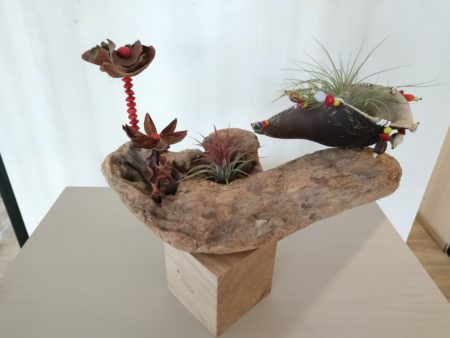Décoration cube, graines, tillandsia n°7 – Image 2