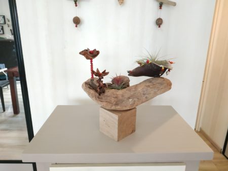 Décoration cube, graines, tillandsia n°7 – Image 3