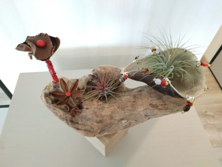 Décoration cube, graines, tillandsia n°7 – Image 4
