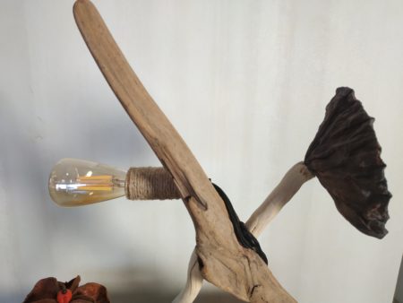 Lampe en bois flotté et graines et compagnie – Image 3