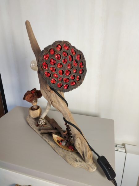 Lampe en bois flotté et graines et compagnie – Image 4