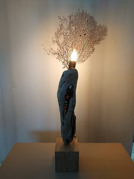 Lampe en bois flotté graines et gorgone – Image 6