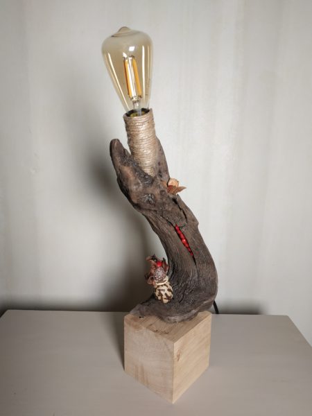 Lampe en bois flotté et graines