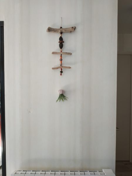 Déco murale bois flotté graines oursin crayon – Image 3