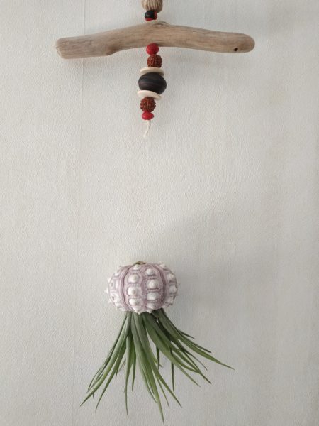 Déco murale bois flotté graines oursin crayon – Image 2