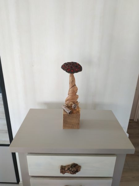 Décoration cube, graines, bois flotté,fleur de lotus n°9 – Image 4